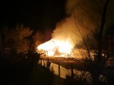 Sinop'ta ahır yangını: 12 büyükbaş hayvan telef oldu