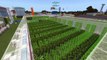 Minecraft Bedrock: Easy Sugarcane/Bamboo/Kelp Farm! 36,000 Items/Hour Tutorial! Mcpe Xbox Pc Ps4