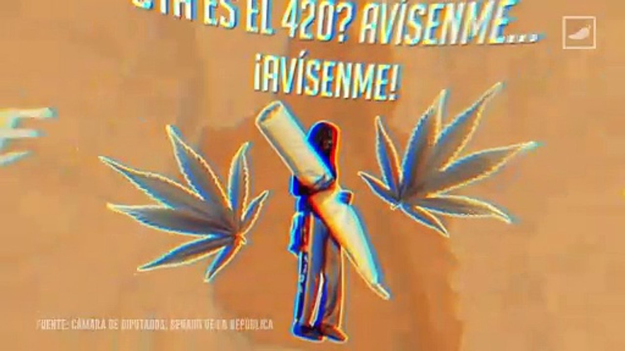 ¿Cómo va la regulación del #cannabis? | #AlChile | CHILANGO