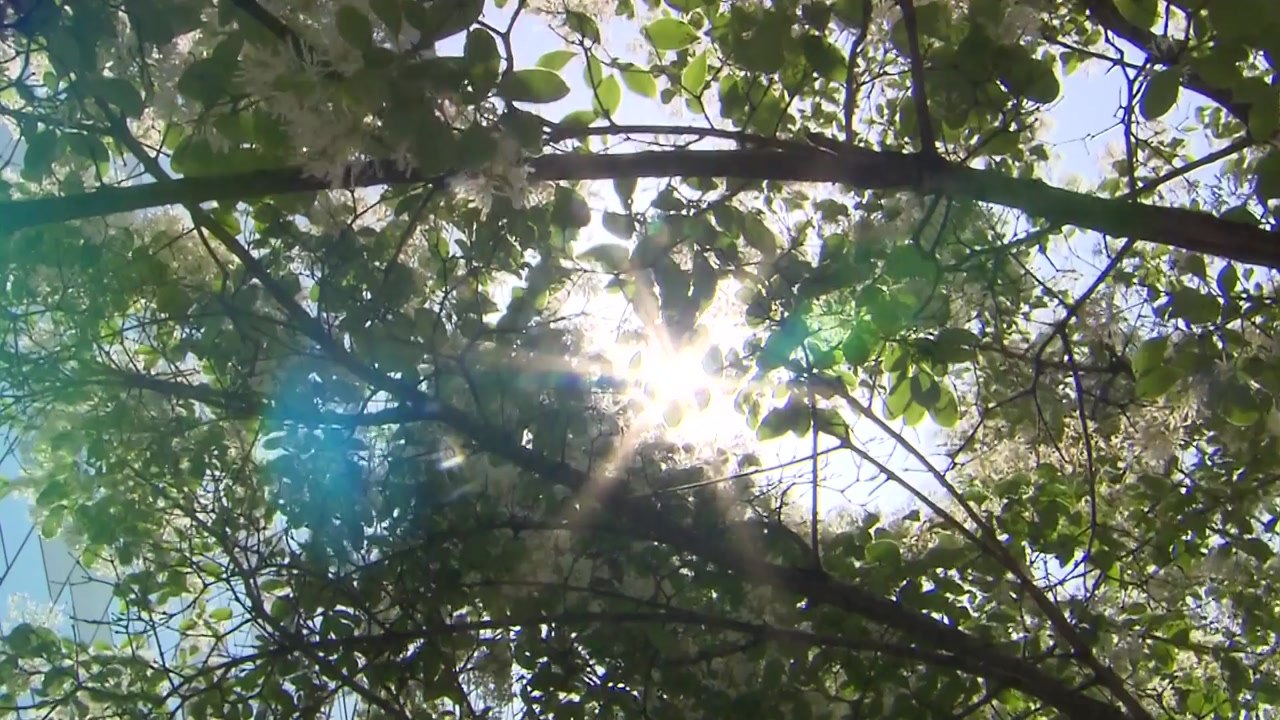 [날씨] 벌써 여름? 서울 28℃...오존·자외선 주의 / YTN