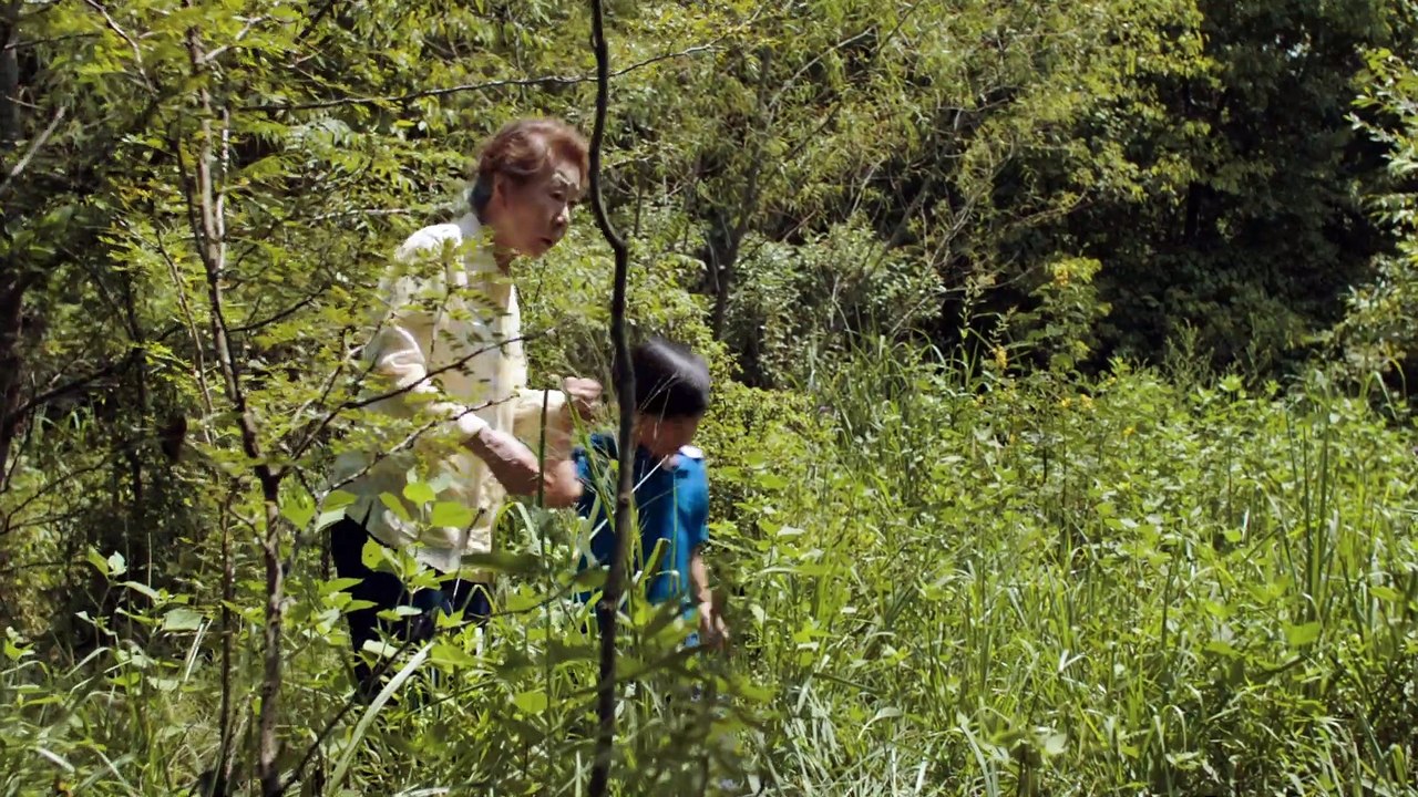 Minari Movie - Roots of The Story