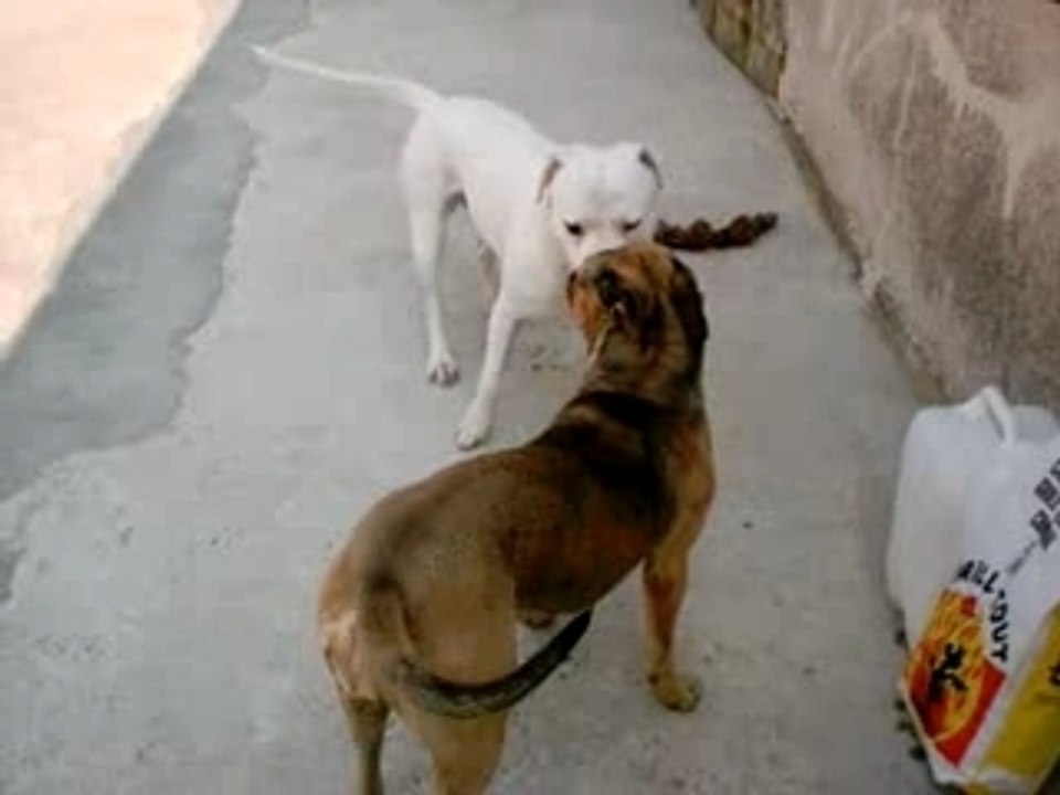 VID0012