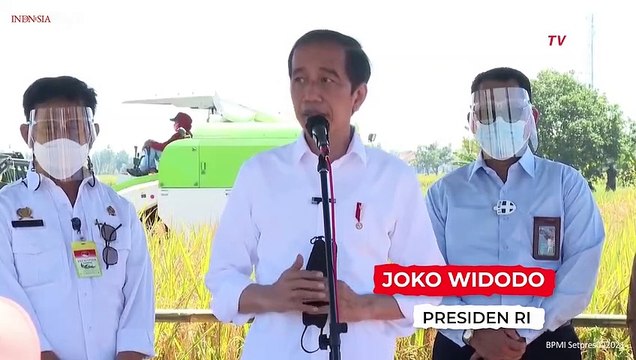 Jokowi: Pemerintah Sebetulnya Tidak Suka yang Namanya Impor Beras!