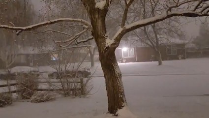 Heavy snow blankets Colorado