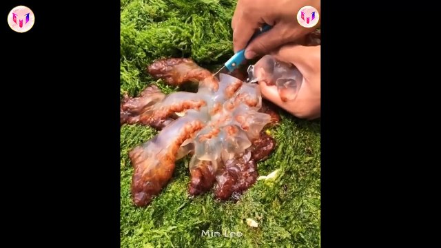 Catching Seafood Deep Sea Octopus (Catch Crab, Catch Fish) - Tik Tok #97