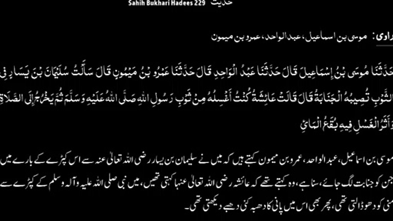 Watch *Hadith 229 Sahih Bukhari*