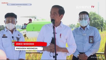 Presiden Jokowi Menerima Keluhan Petani Saat Tinjau Panen Padi di Indramayu