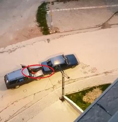 Seyir halindeki otomobilin kaputuna oturup ayaklarıyla öndeki aracı itti