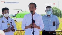 Tinjau Panen Padi, Presiden Jokowi Sebut Alasan Pemerintah Tetap Impor Beras