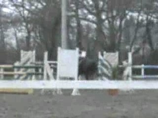 Nephelien du Reuil et Morgane Ferellec St Cast Dip (1ère/6)