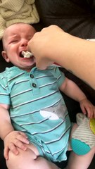 Whipped Cream Keeps Kid from Crying