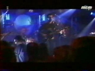 DE PALMAS MCM café TROP TARD