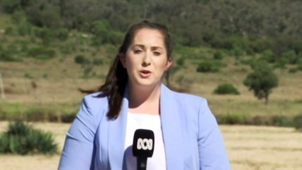 NSW government pays Chinese coal giant $100m for land