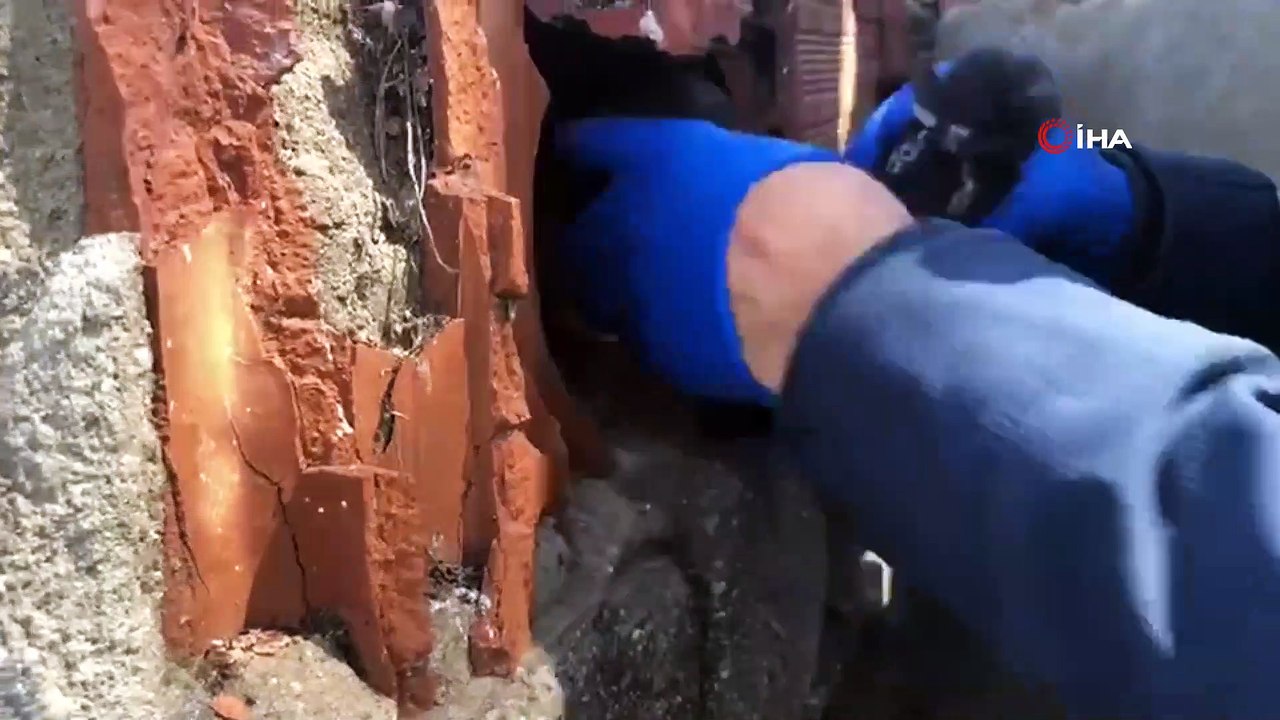 Tuğlaların arasından çorap çorap bonzai çıktı: 1'i çocuk 5 kişi yakalandı