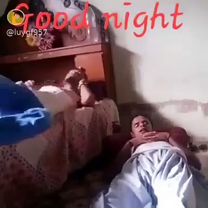 Good Night Sleeping Funny Video