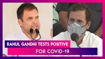 Rahul Gandhi Tests Positive For Coronavirus, PM Narendra Modi & Others Tweet For His Speedy Recovery