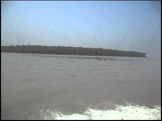 মেঘনায় ১৬ টন চালসহ ট্রলার ডুবি (ভিডিও) - JagoNews24.com