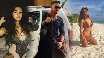 Download Video: Disha Patani ने Maldives से Share की Bold Vacation तस्वीर, Tiger Shroff बोले ये | FilmiBeat