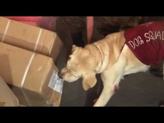 ৩৩ দেশে একযোগে ‘অপারেশন আইরিন’ - Jagonews24.com