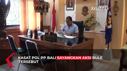 Vira! Bule di Bali Kelabui Petugas Keamanan dengan Wajah Dilukis Masker