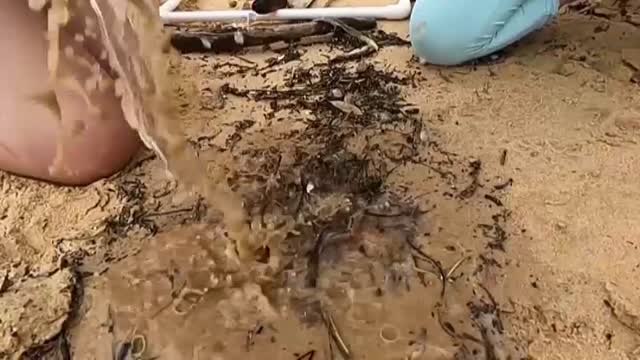 Un estudio australiano calcula que unos 12 millones de toneladas microplásticos se filtran cada año en los oceános