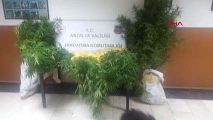 JANDARMADAN KENEVİR BASKINI