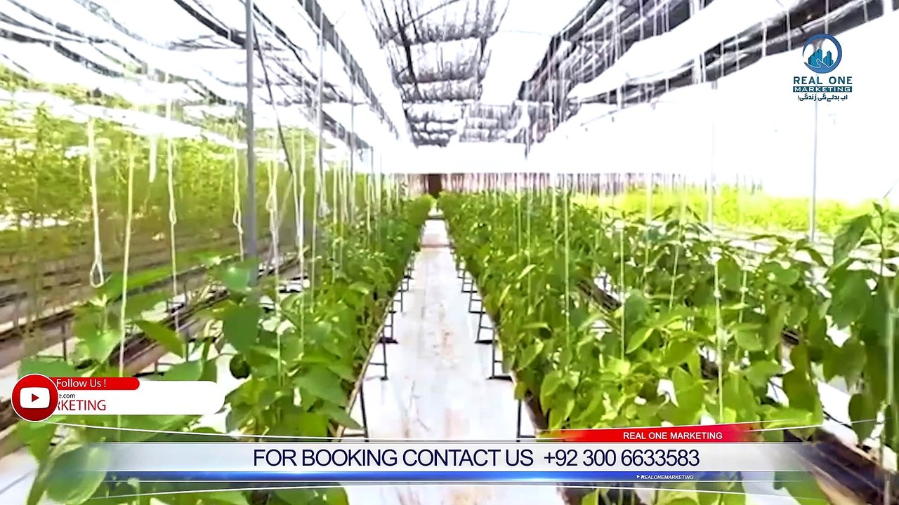 Capital Smart City - Smart People Smart Choice