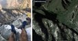 Californie : un randonneur perdu dans les montagnes a été retrouvé grâce à une photo de ses pieds postée sur Twitter