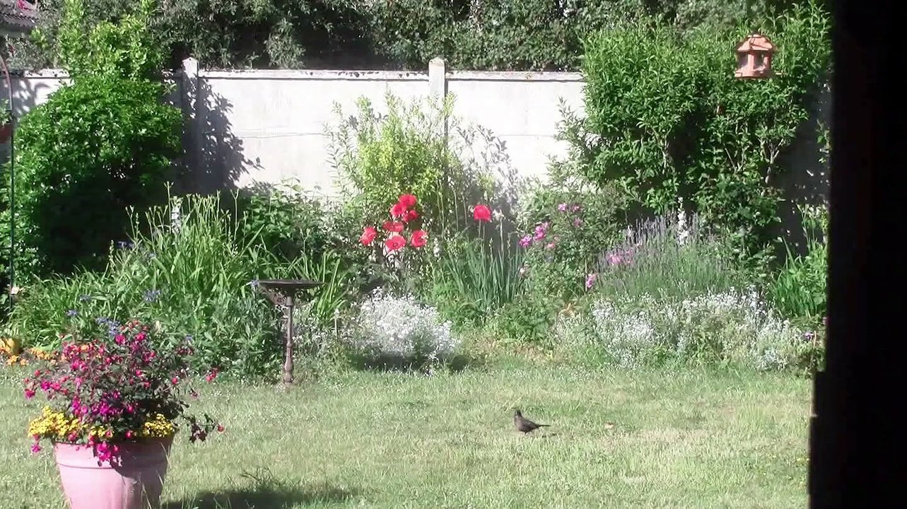 2020-06-05 Les Friquets remettent ça