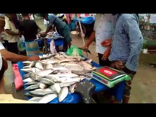 ‘কাইল থাইক্যা ইলিশ ধরা বন্ধ আইজই বেশি কইরা লইয়া যান’