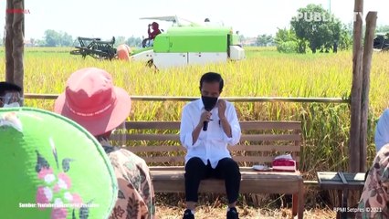 Jokowi: Pemerintah tak Suka Impor Beras