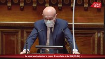 Le sénat veut autoriser le cumul d'un salaire et du RSA - Les matins du Sénat (21/04/2021)