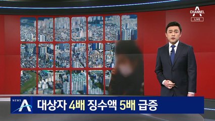 11년치 종부세 과세자료보니…대상자 4배·징수액 5배 급증