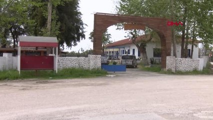 Son dakika haberi: HATAY'DAKİ KAYIP ATLAR ÇİFTLİĞE VERİLMİŞ; BAKAMAYINCA 'KAÇTI' İHBARI YAPMIŞLAR