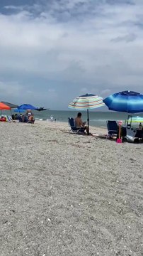 Incroyable atterrissage en urgence d'un avion au milieu de baigneurs en Floride