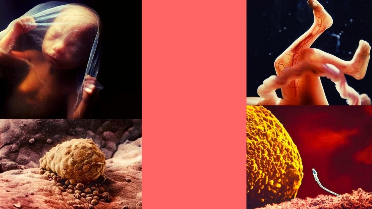 ಪ್ರಕೃತಿಯ ನಿಯಮಕ್ಕೆ ಒಂದು ಸಲಾಂ! | Oneindia Kannada