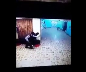 Sırtlan morga girmeye çalıştı!
