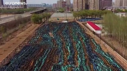 شاهد: "مقبرة دراجات هوائية مشتركة" في الصين