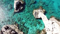 حاجة ملحّة إلى إنقاذ الشعب المرجانية في قبرص