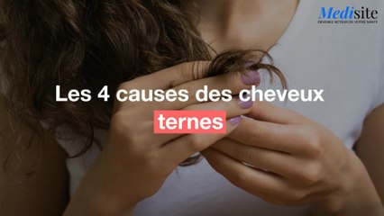 Les 4 causes des cheveux ternes