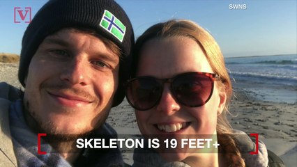 Woman Finds Skeleton on Beach With Many Comparing It to the Loch Ness Monster!