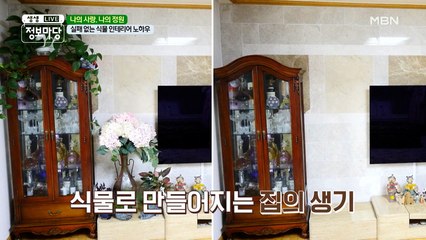 실패 없는 식물 인테리어 노하우☝