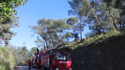 Fethiye ilçesinde çıkan orman yangını söndürüldü