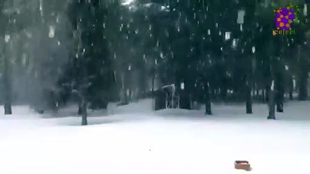 15 Minute Deep Healing Music | Instrumental | Snowfall | Self-love | Self-Esteem | Soothing | Nice | Beautiful | Stress-Relief | Calming | Relaxing | Study | Sleep | Positive Energy