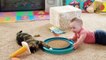 Baby And Cats Playing Together  -  Funny Baby And Pets Moments