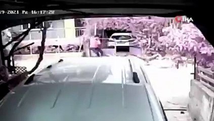 Beslediği kazların saldırısına uğrayıp yerlerde sürüklendi, kazları satışa çıkardı