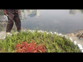 নতুন রূপে সাজছে গুলশান লেক || jagonews24.com