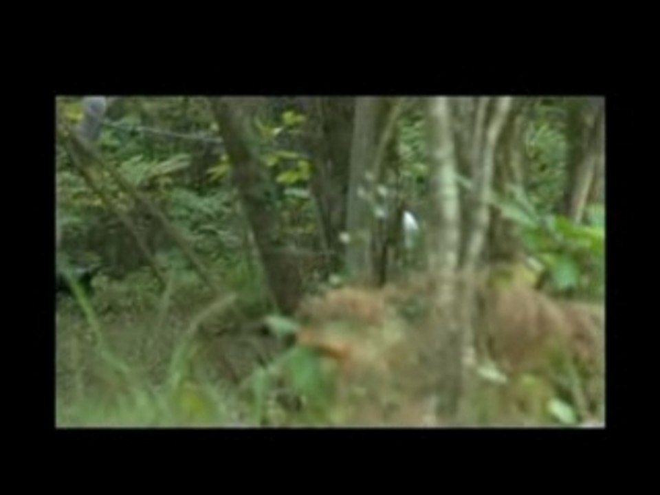 Making of ELLISAUR 1ERE PARTIE