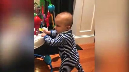 Try Not To Laugh: Babies Trouble Maker  And Fail| Funny Babies And Pets