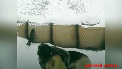 Kurt ve Özel Harekat sosyal medyayı salladı